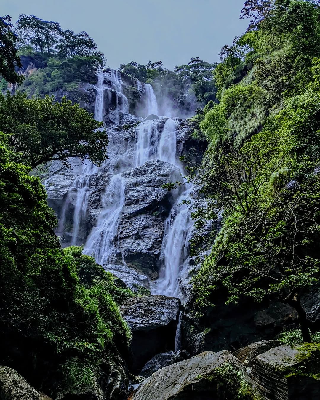 Udzungwa Mountains hiking