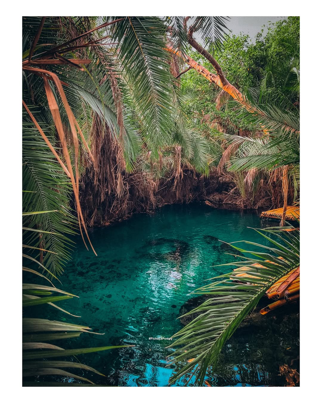 Chemka Hotsprings