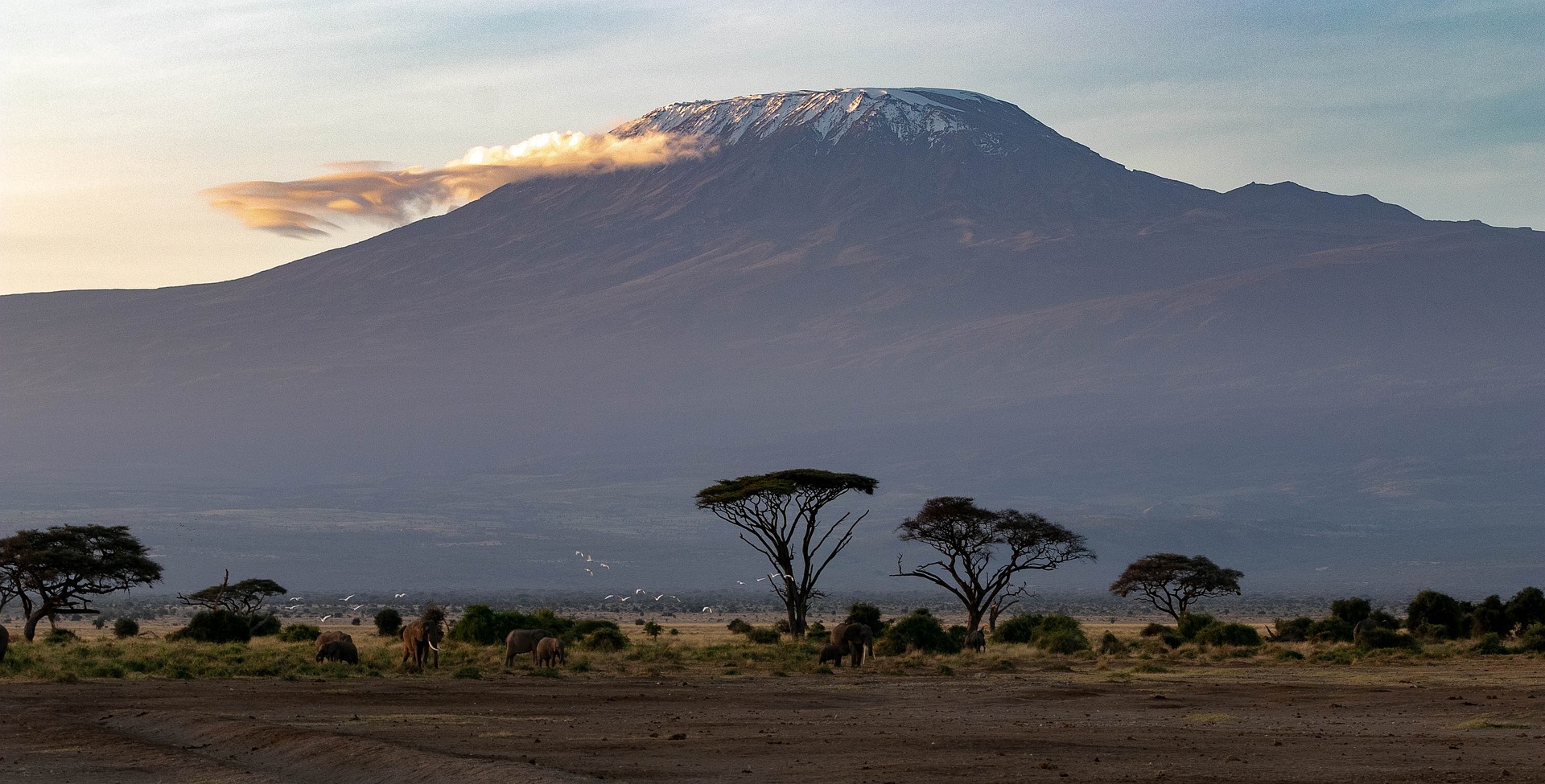 Mount Kilimanjaro trekking